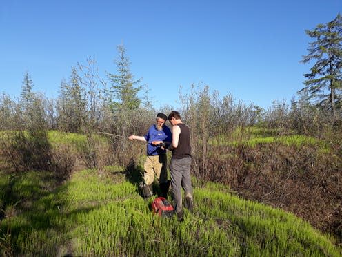 <span class="caption">The Zimovs take some permafrost depth readings.</span> <span class="attribution"><span class="source">© Charlotte Wrigley</span>, <span class="license">Author provided</span></span>