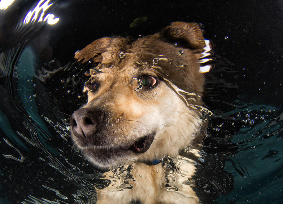 Mandy looks around underwater.&nbsp;