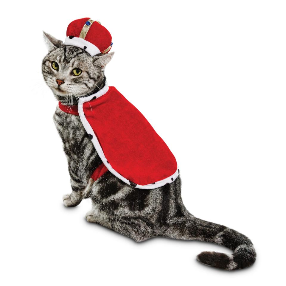 King Purrington Cat Costume