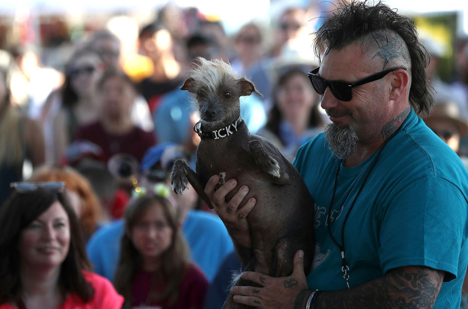 <p>Jon Adler of Davis, California, holds his mixed breed dog named Icky during the 2017 World’s Ugliest Dog contest at the Sonoma-Marin Fair on June 23, 2017 in Petaluma, Calif. (Photo: Justin Sullivan/Getty Images) </p>