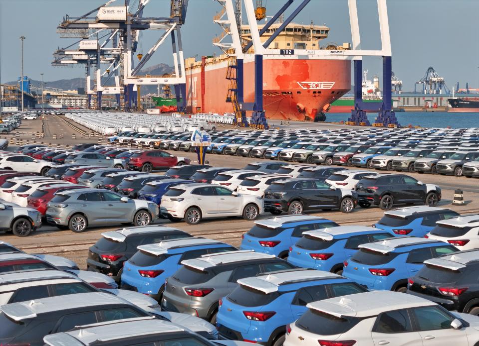 The Chinese vehicles are being assembled at Yantai Port for delivery on January 8, 2024.  (Future publication via Getty)