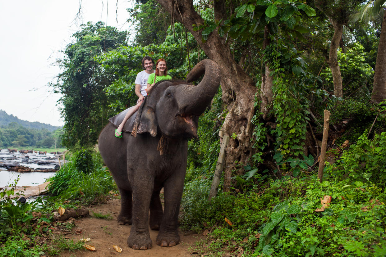 Tourists ride on an elephant in Pinnewala, Sri Lanka. A caretaker at African Lion Safari, located between Hamilton and Cambridge, Ont., was injured by one of the elephants at the facility earlier this week. (Getty)