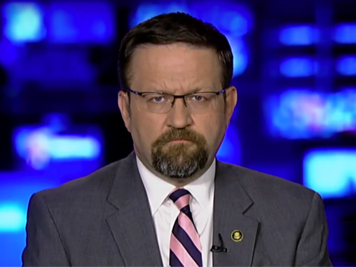 Deputy assistant to the President Sebastian Gorka speaks on Fox News: YouTube/Fox News