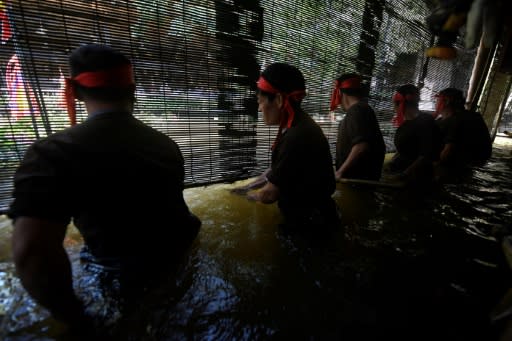 Vietnamese puppeteers controlling water puppets from behind a bamboo screen in a pool during a performance in Hanoi