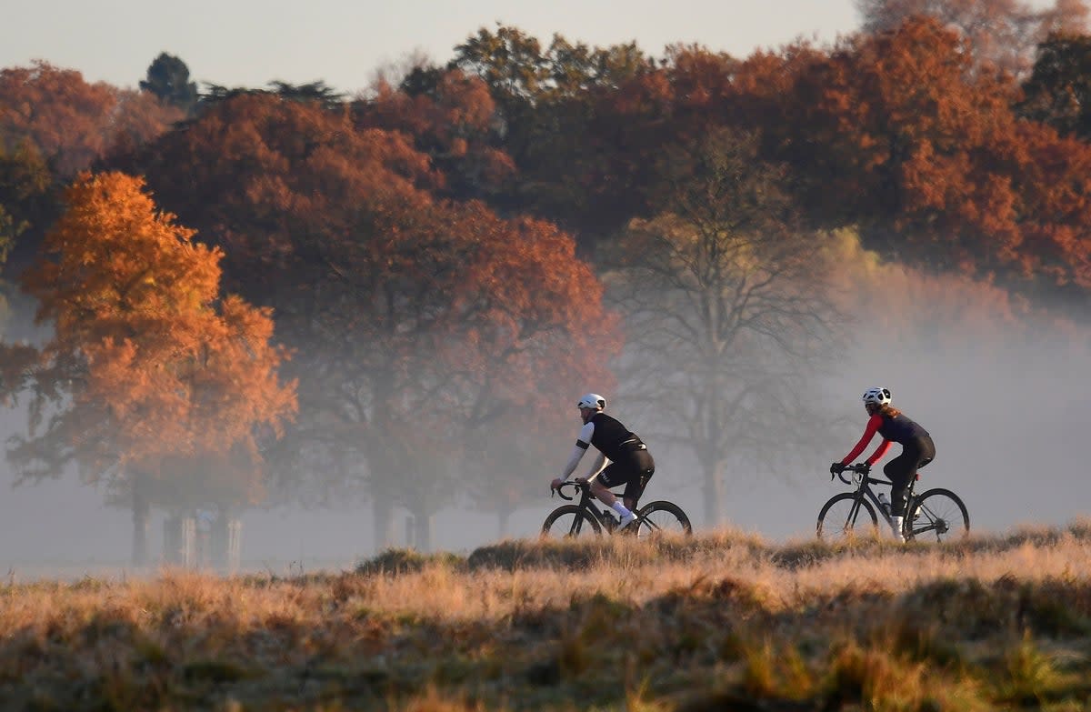 Cyclists ride amongst autumn colours in Richmond Park (REUTERS)