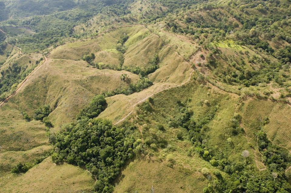Deforested hills seen from the air, showing the light green color of newly planted saplings.
