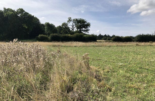 An arable field with wildflower margin for wildlife