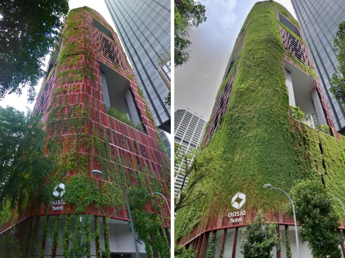 Photos show how Singapore's iconic 'green hotel' has been overrun by plants in t..