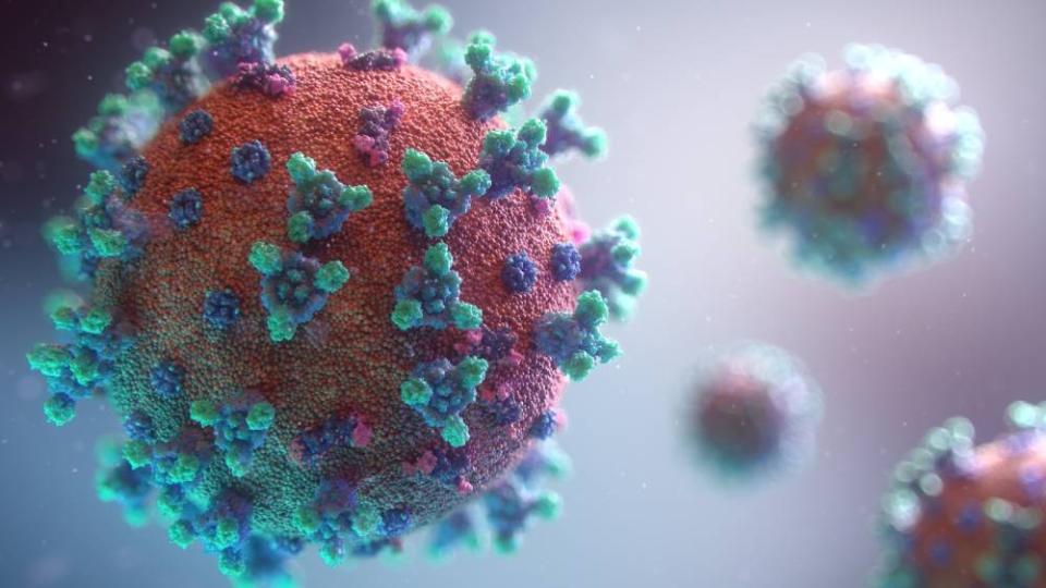 A visualisation of the Covid-19 virus. Experts say new variants of the virus have shown to be more able to get around immunity built up from past infections. — Picture via Unsplash/ Fusion Medical Animation  