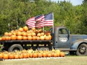 <p>Between their corn canons, pig races, corn mazes, pedal carts, barnyard animal area, and 15 more outdoor attractions, there's so much to squeeze in after your pumpkin picking adventure at <a href="https://www.southernbellefarm.com/" rel="nofollow noopener" target="_blank" data-ylk="slk:Southern Belle Farm;elm:context_link;itc:0;sec:content-canvas" class="link ">Southern Belle Farm</a> in McDonough, Georgia. Pack some extra snacks to keep your energy up or check out their country market for seasonal treats to munch on.</p><p><a class="link " href="https://go.redirectingat.com?id=74968X1596630&url=https%3A%2F%2Fwww.tripadvisor.com%2FAttractions-g35102-Activities-McDonough_Georgia.html&sref=https%3A%2F%2Fwww.countryliving.com%2Flife%2Ftravel%2Fg21273436%2Fpumpkin-farms-near-me%2F" rel="nofollow noopener" target="_blank" data-ylk="slk:PLAN YOUR TRIP;elm:context_link;itc:0;sec:content-canvas">PLAN YOUR TRIP</a><br></p>