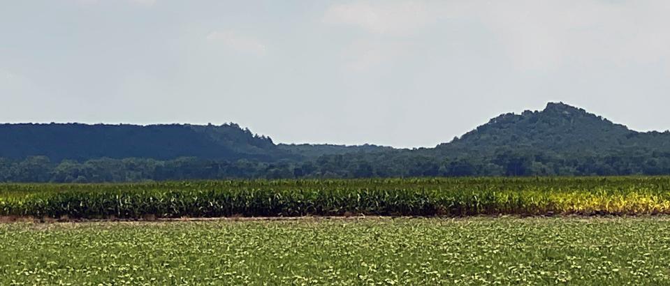 The Tonkawa Tribe is based today in northern Oklahoma, but its homelands are in Texas, where it recently bought back a mountain central to its origination story. The mountain is located near Gause, about 80 miles northeast of Austin. Provided by Bob O'Dell/Sugarloaf Pictures LLC