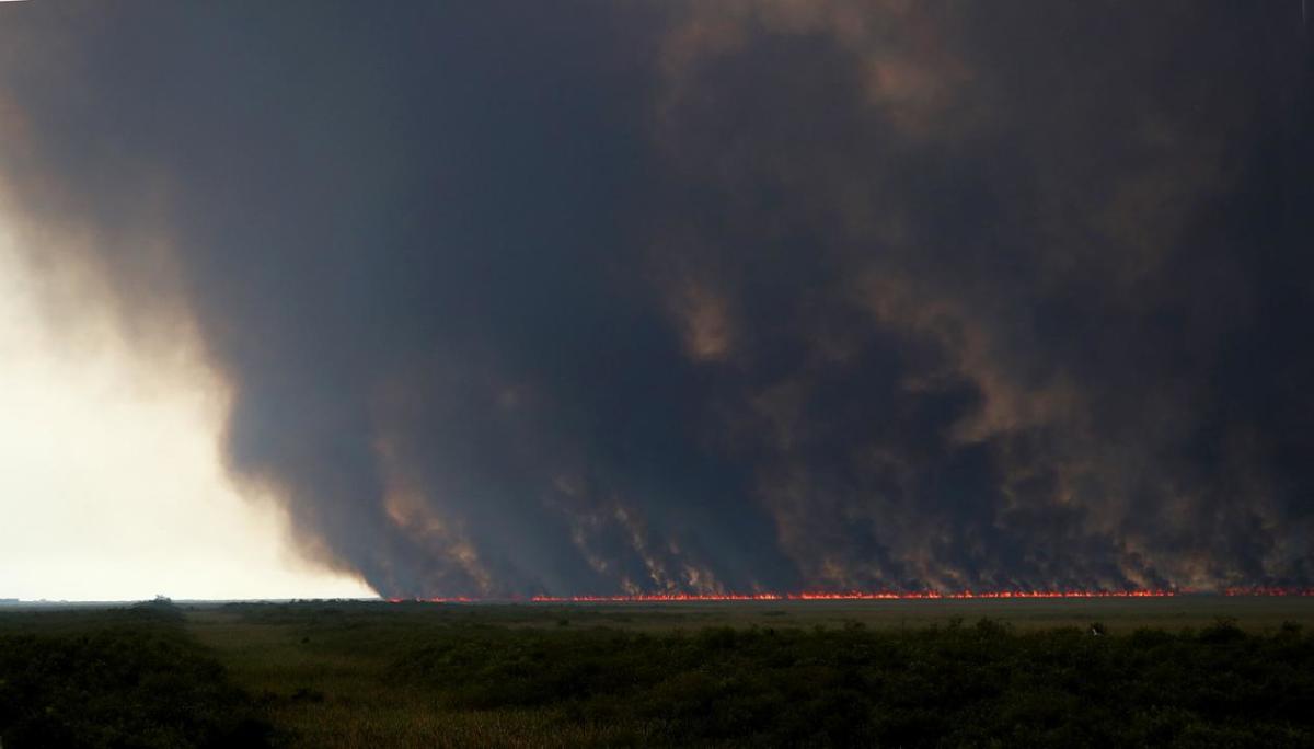 Massive Wildfire Swallows Up Portion Of Florida Everglades