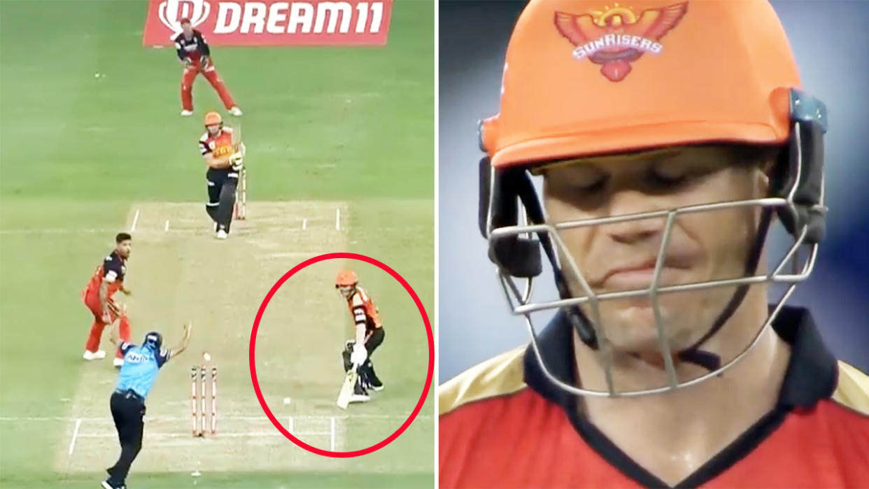 David Warner was dismissed in freakish fashion in the IPL. Image: Fox Sports