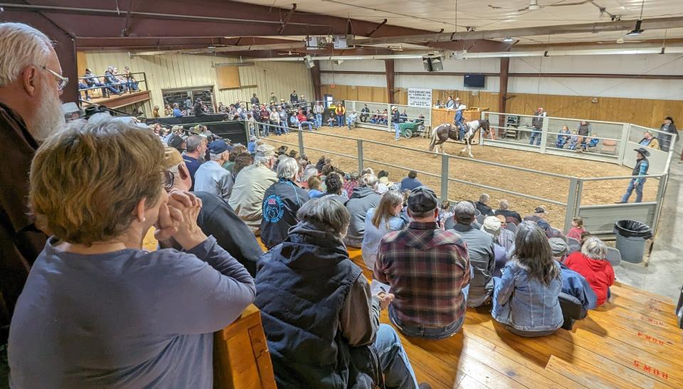This large horse arena at the Kalona Sales Barn seats up to 500 bidders and other spectators during regular horse sales here.