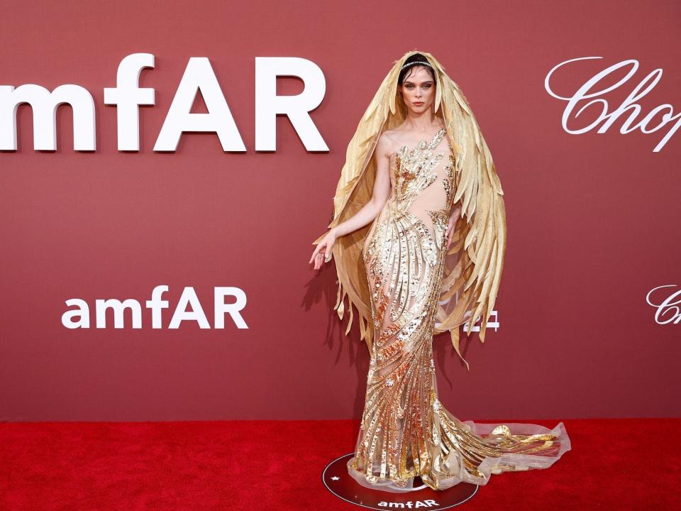 Coco Rocha attends the 2024 amfAR Gala.