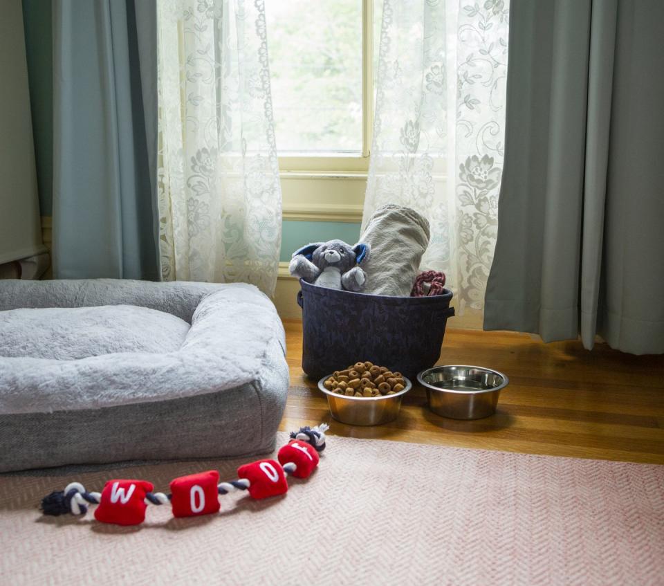 dog bed, toys, food and water as laid out at a hotel that accepts dogs