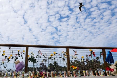 A sea bird flies over a makeshift memorial near Truth Aquatics as the search continues for those missing in a pre-dawn fire that sank a commercial diving boat off a Southern California island near Santa Barbara, California