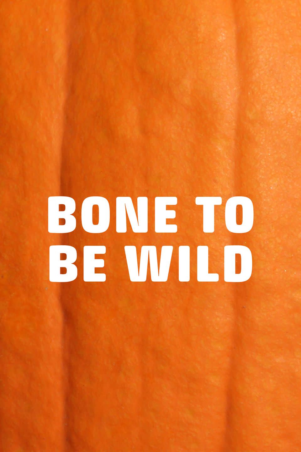 36) Bone to be Wild