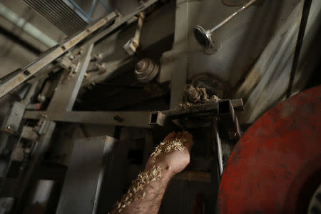 A man holds wheat grains inside a wheat storage in Qamishli, Syria September 18, 2017. REUTERS/Rodi Said