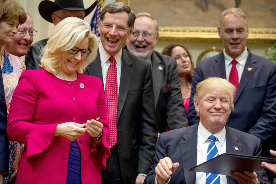 Liz Cheney pictured with Donald Trump.