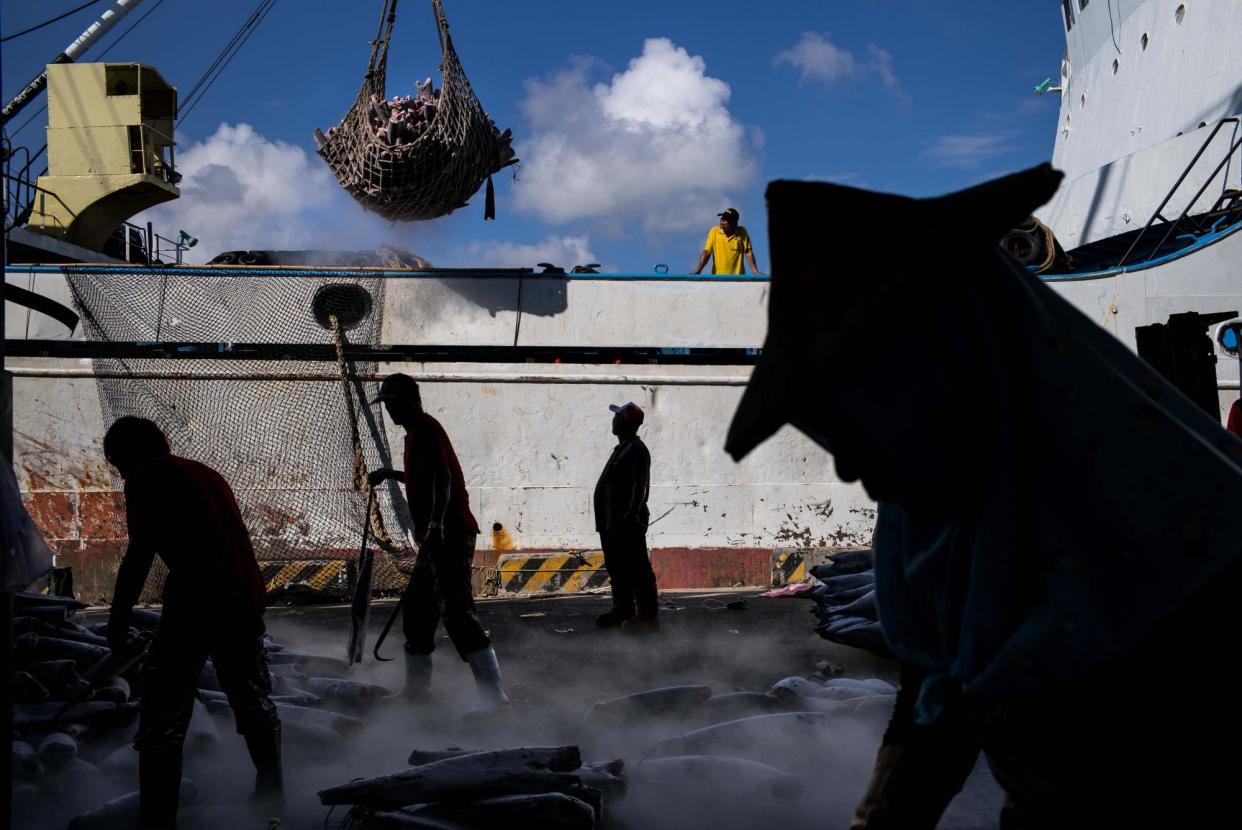 <span>Workers unload fish from the boat before transporting to a fish market in July 2016 in Kaohsiung, Taiwan.</span><span>Photograph: Billy HC Kwok/Getty Images</span>