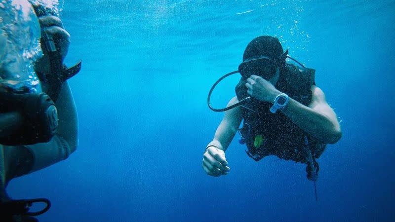 有潛水員透露，他曾讓太平洋清潔蝦「洗牙」。（示意圖／翻攝自Pixabay）