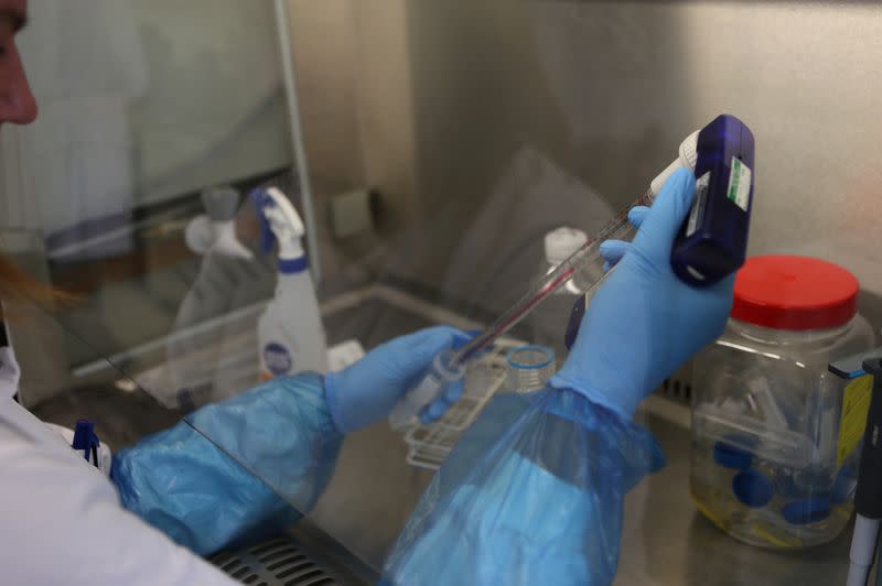 A scientist works in the lab at the Roslin Institute in Edinburgh, Scotland