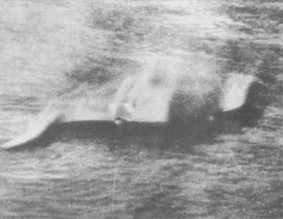 The image taken by Hugh Gray in 1933 sparked a worldwide frenzy (Loch Ness Centre/PA)
