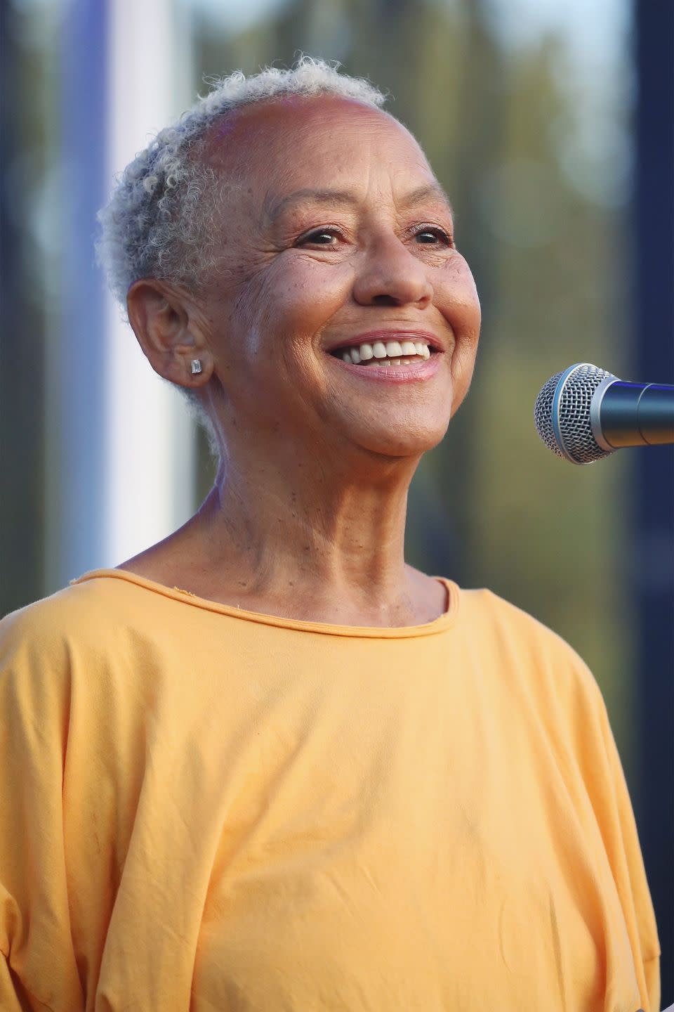 famous black women nikki giovanni 12th annual afropunk brooklyn festival