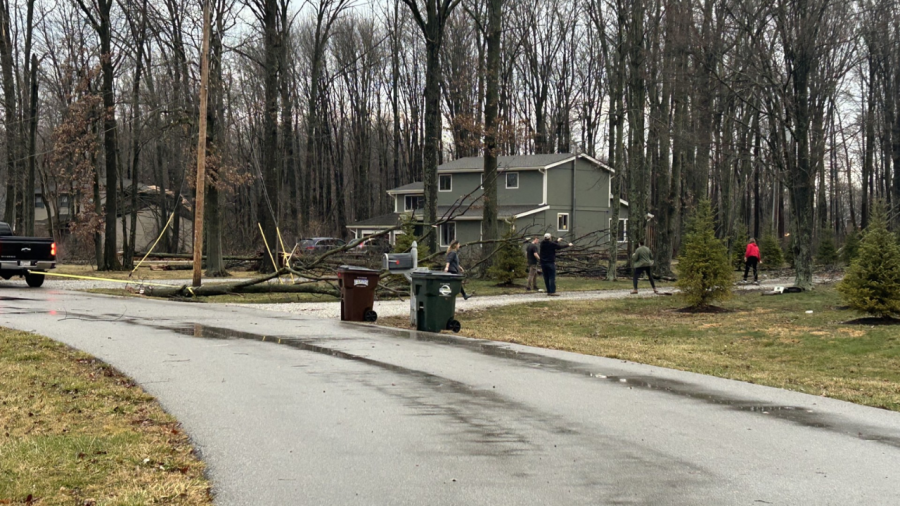 Trees are uprooted and fall on houses in Blacklick, Ohio on Belangee Road after a strong storm surge early morning on February 28, 2024. (NBC4 Photo/Delaney Ruth)