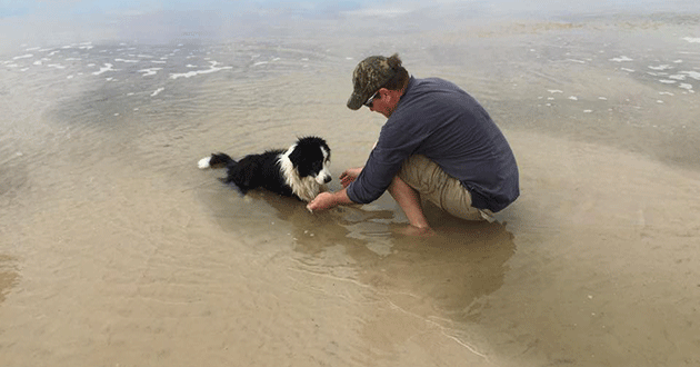 Blaze's final visit to the beach with his family.