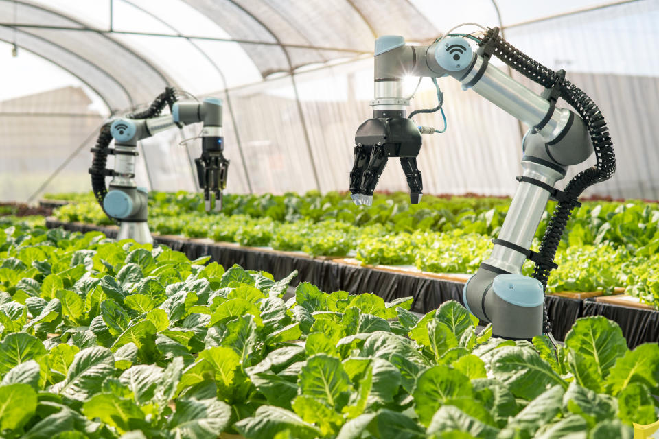 Smart robotic farmers in agriculture futuristic robot automation to vegetable farm,Smart farm concept