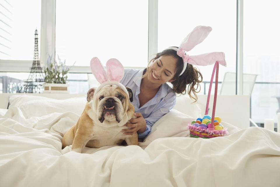 easter captions dog with bunny ears