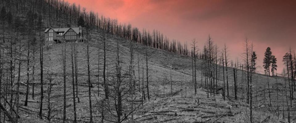 The aftermath of a wildfire in Colorado.