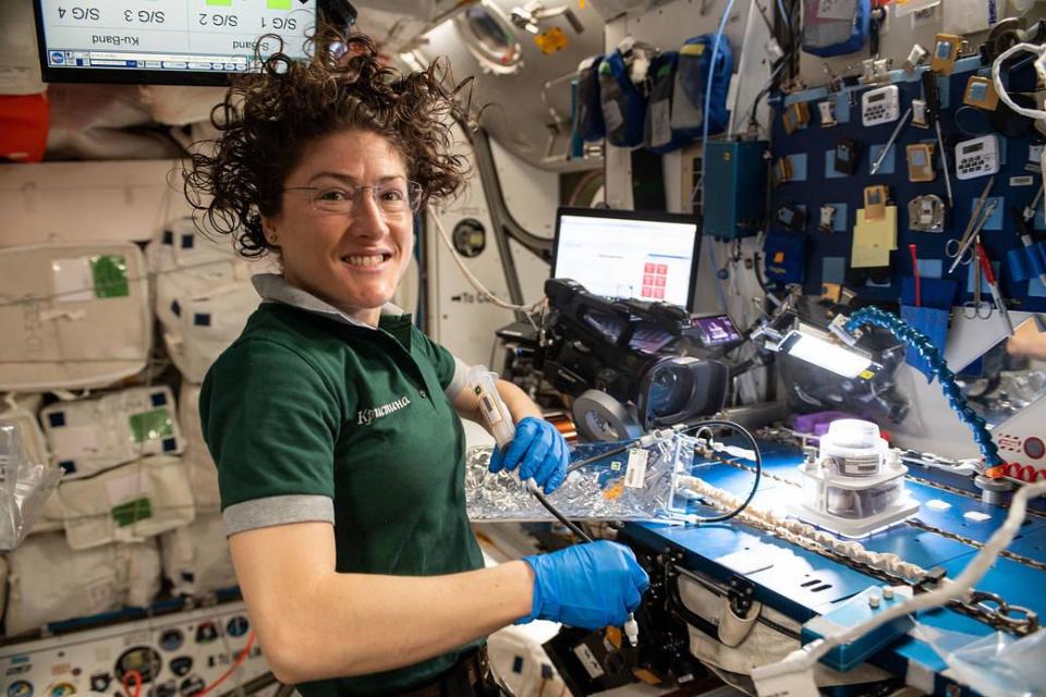 Christina Koch works on a space botany experiment during her time on the ISS: Nasa