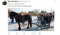 Katie Couric is being mocked for saying the Netherlands dominates speed skating because it's 'an important mode of transportation' in Amsterdam