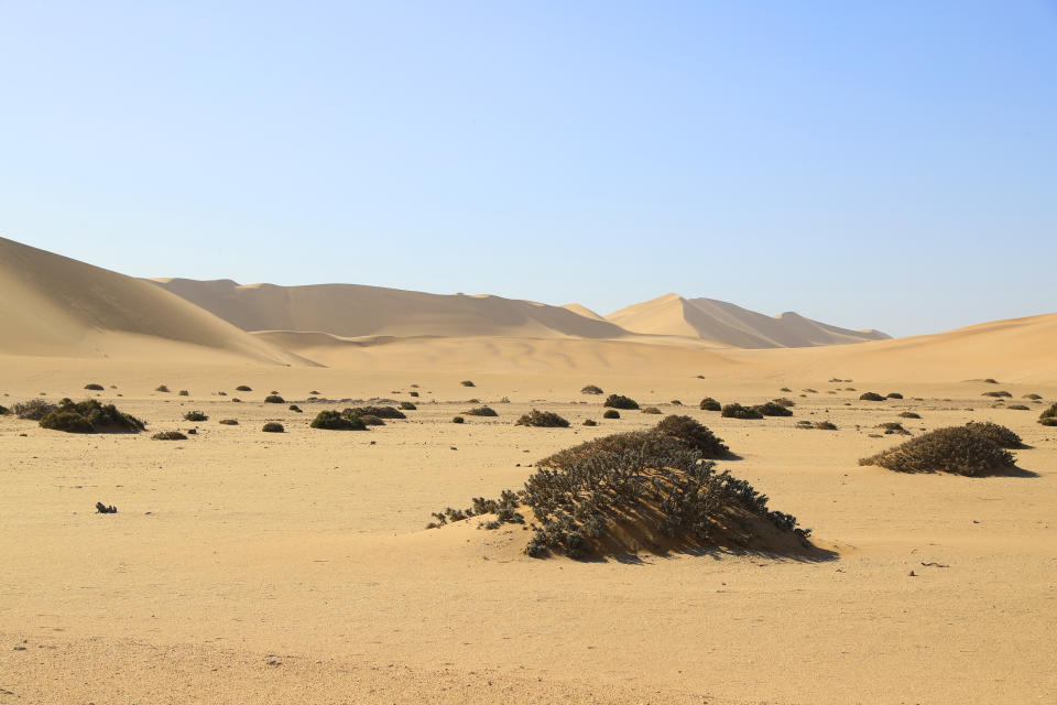 The 1,000-foot-high sand dunes in the Namib-Naukluft National Park are a popular tourist attraction for climbing, sand boarding and photography. (Photo: Gordon Donovan/Yahoo News)