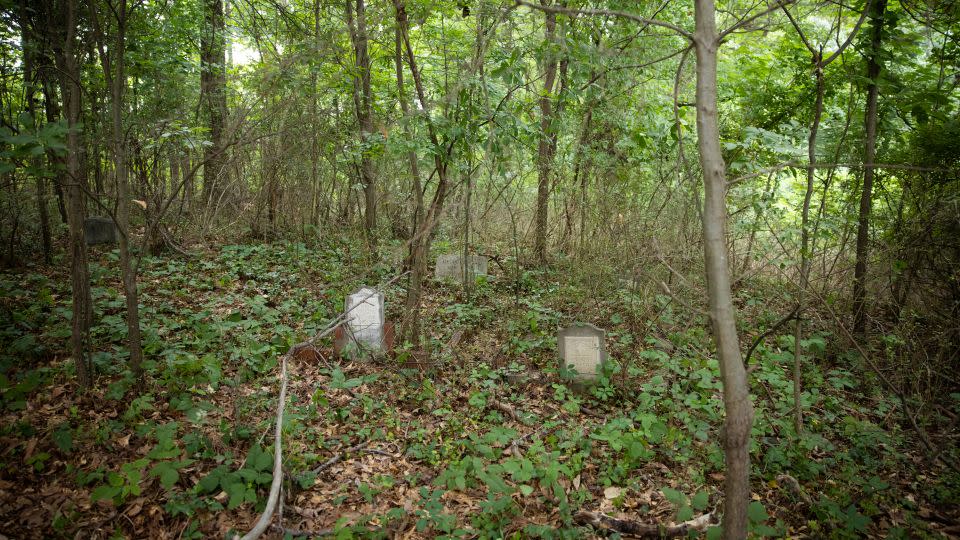 Headstones at the Piney Grove Cemetery are seen amid trees and overgrowth. - Melissa Bugg