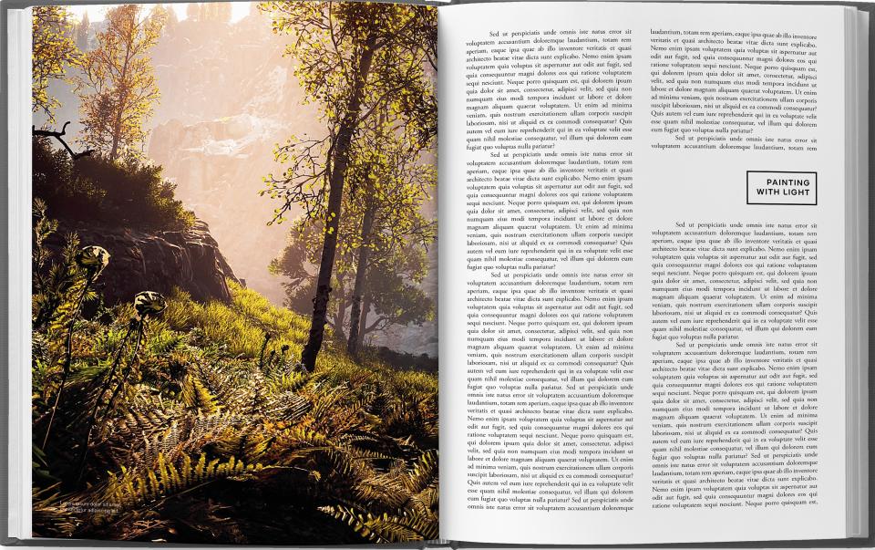 Rob Dwiar game art book; a book in a game environment