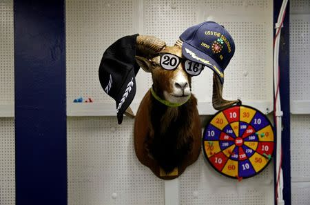 Hats are seen on an animal bust on the USS Harry S. Truman aircraft carrier in the eastern Mediterranean Sea, June 15, 2016. REUTERS/Baz Ratner