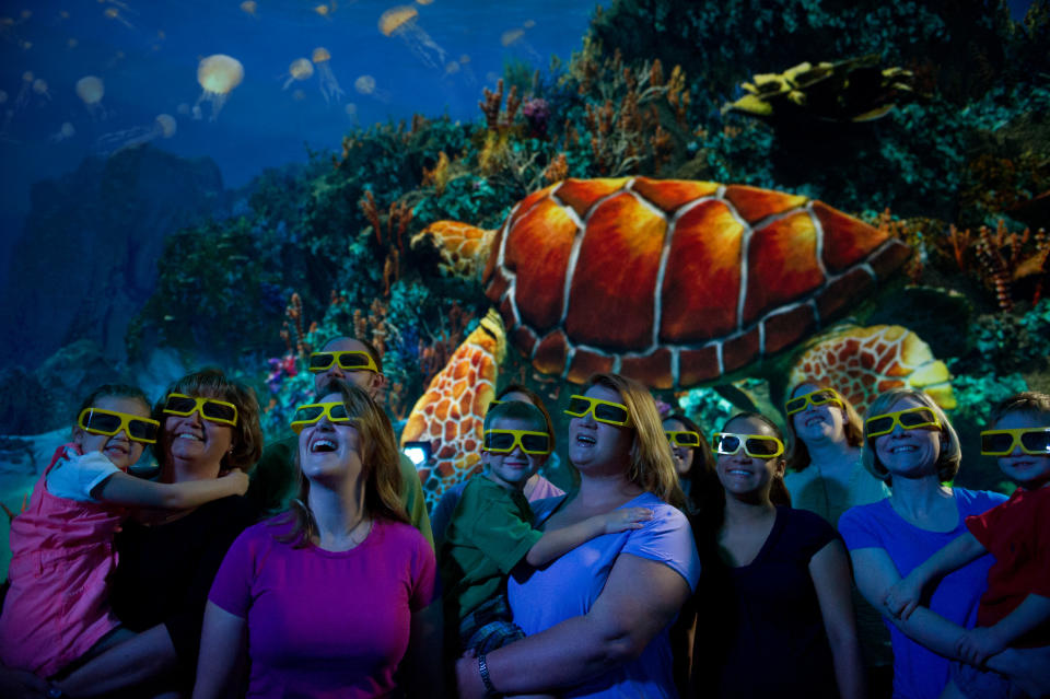 This undated image provided by SeaWorld Orlando shows a new attraction at the park featuring sea turtles. The exhibit, which includes live sea turtles as well as a 3-D movie about the endangered creatures, opened in April and is one of a number of new attractions at theme parks around the country this season. (AP Photo/SeaWorld Orlando)