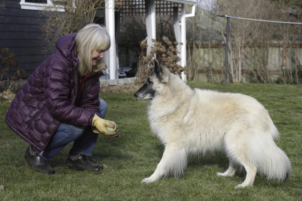 Susan Crowley, a 75-year-old retired attorney, plays in her garden with her dog, Mollie, at her home in Hood River, Ore., on Jan. 23, 2021. Crowley submitted public comments to Oregon's vaccine advisory committee to criticize the state's controversial decision to vaccinate its teachers and early childhood care givers ahead of its oldest residents. Teachers in Oregon are eligible for the vaccine this week, two weeks ahead of the state's oldest residents and more than a month ahead of those between age 65 and 70. Oregon's decision underscores the difficult moral dilemma facing local and state public health officials as they weigh which populations need the vaccine most urgently amid a nationwide dose shortage. (AP Photo/Gillian Flaccus)(AP Photo/Gillian Flaccus)