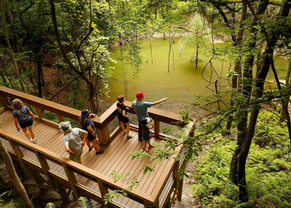 People stand on the new overlook above the basin of Devil's Millhopper on June 6, 2019, in Gainesville. After being closed for months because flooding damaged the boardwalk and stairs, the state park reopened with a new overlook at the sink and new railings.