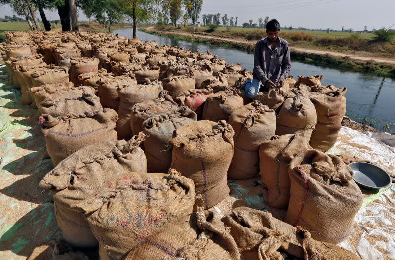 FILE PHOTO: A worker packs a sack filled with rice on the outskirts of Ahmedabad