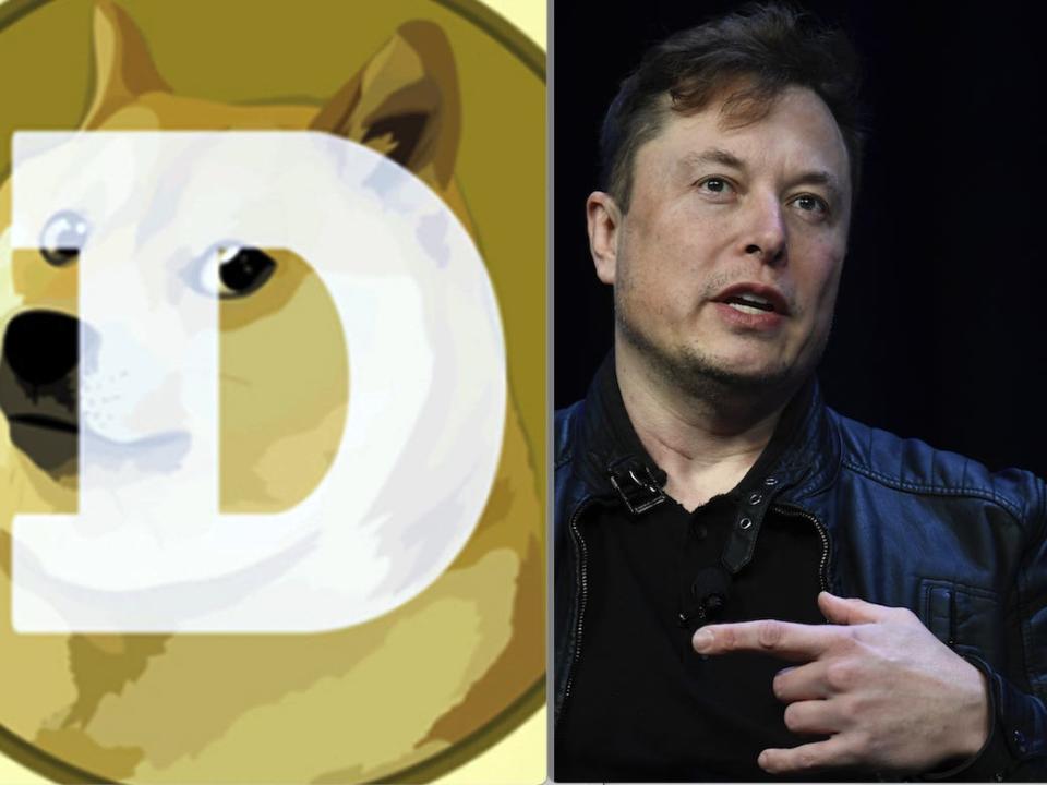 Elon Musk disses Jackson Palmer