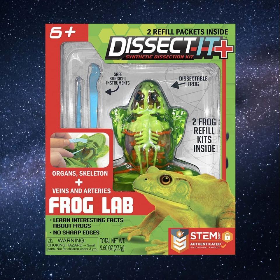 This kit, which is available in a number of different animals, creates a realistic  dissection experience without the use of a real animal. The re-fillable mold uses a safe gelatin-like material and contains a complete skeletal structure, a full set of organs, plus veins and arteries in order to teach anatomy.You can buy the simulated dissection kit for:Frog: $18.99 at AmazonFrog: $14.99 at TargetSalamander: $14.97 at Walmart