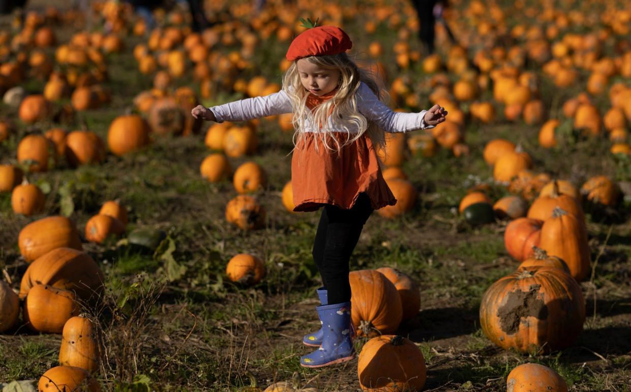  young girl jumps between pumpkins at Tulleys farm - Dan Kitwood /Getty 