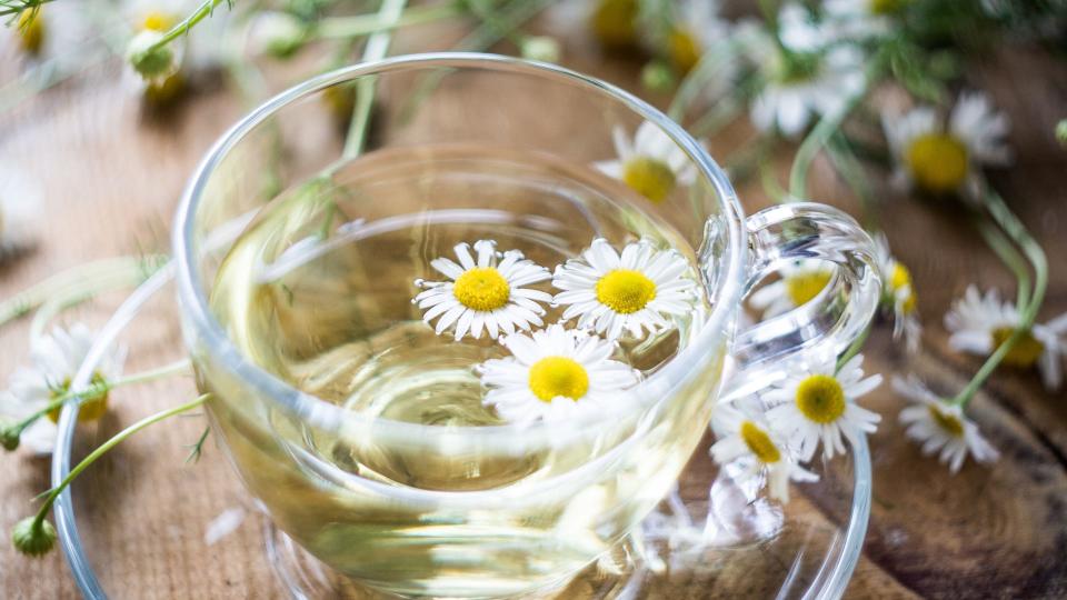 chamomile