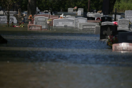 A flooded graveyard is pictured in China, Texas, U.S., August 31, 2017. REUTERS/Carlo Allegri