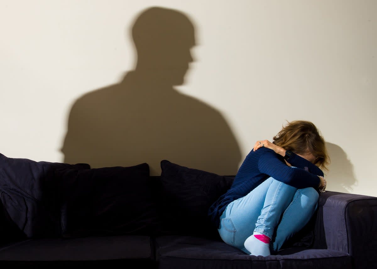 Just over half of those polled report domestic abuse at least twice before they thought officers did enough to help  (PA Archive)